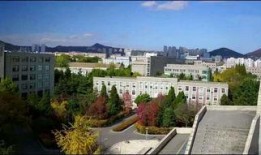 大连海霸大学最新爆料事件,校园事件真相揭秘