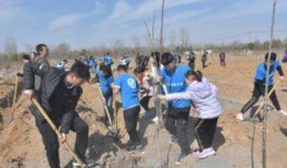 郑州保合寨最新爆料,揭秘神秘事件背后的真相