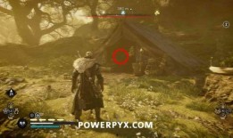 挚爱之约爆料视频大全,揭秘视频大全背后的浪漫故事