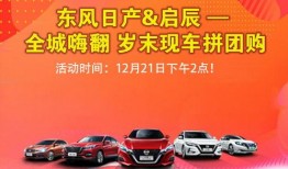 车拼在线观看,一场惊心动魄的汽车竞技盛宴