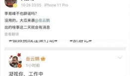 爆料大瓜被抓视频,真相大白引网友热议