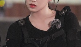 狗仔爆料程潇视频,狗仔爆料背后的真相揭秘