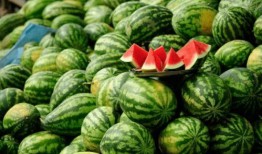 免费网红吃瓜公众号推荐,跟随免费公众号探寻娱乐圈幕后真相