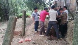 农村老田最新爆料,最新爆料背后的惊人真相