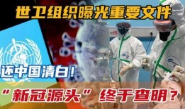 新冠源头爆料视频,独家视频揭露惊人真相