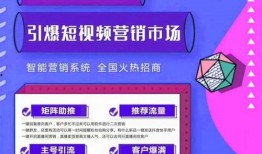 创业引流视频热点爆料,爆款背后的秘密爆料