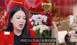 直播爆料港星视频大全最新,精彩瞬间一网打尽