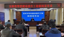 广西玉林新闻爆料,爆料的惊人真相，揭开背后惊人内幕