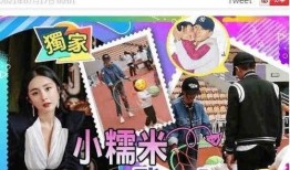 港媒爆料杨幂视频播放,港媒爆料背后的真相揭晓