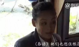 娱乐圈互吃瓜