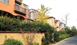 都市花园爆料最新消息,揭秘神秘事件背后的真相