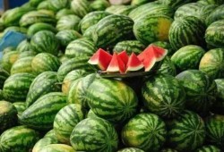 新沂网红吃瓜事件真相,真相背后的网络狂欢与反思