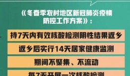 新冠检测员爆料案例最新,一线抗疫背后的真实挑战与感人故事