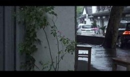 白灰往事爆料原视频,揭秘原视频背后的惊人真相