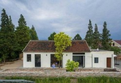 农村老田最新爆料,最新爆料背后的惊人真相