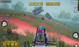 和平精英的新版爆料视频,全新内容与玩法大揭秘！