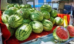 安溪网红吃瓜事件真相,真相背后的网络风波