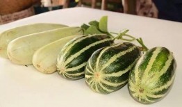 满背网红吃瓜,满背网红背后的故事