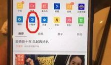 搜索爆料小视频,揭秘网络爆火小视频背后的秘密与现象