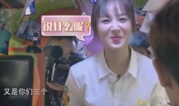 董子健爆料杨紫的视频,揭秘明星私下互动