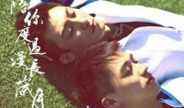 上瘾高清在线观看,揭秘网络成瘾背后的心理与行为