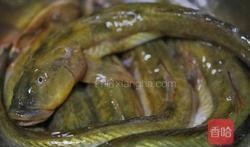 海鲶鱼被爆料视频播放在线观看,揭秘幕后真相