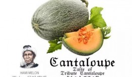 qq吃瓜号推荐免费,跟随QQ吃瓜号探寻娱乐圈幕后故事