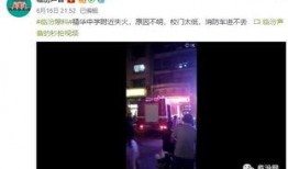 学校爆料视频网站下载,视频网站下载背后的精彩瞬间