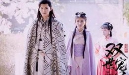 双世宠妃在线全集观看,双世宠妃在线全集观看攻略