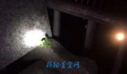 网友爆料猪场视频大全集,网友爆料背后的养殖真相