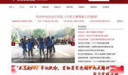 新闻爆料文字怎么写的好,深度解析事件背后真相