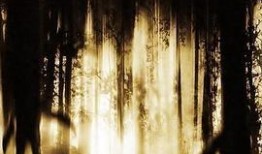 异种完整版在线观看,惊悚揭秘，跨越物种的生存之战