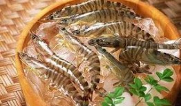 日料店甜虾爆料怎么做视频