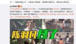 桔梗妈妈爆料老公出轨视频,视频证据曝光惊人内幕