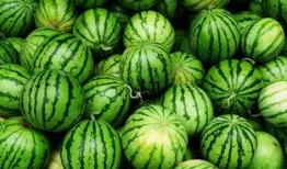 安溪网红吃瓜事件真相,真相背后的网络风波