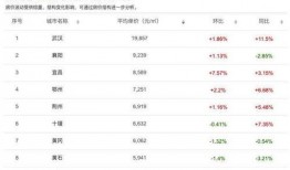 武汉黄龙山爆料案件最新,惊人真相揭露，疑云重重待解