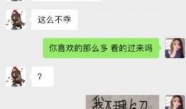 女网红吃瓜聊天记录,幕后故事与真实心声