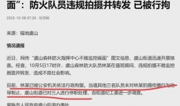 岳西最新爆料事件处理结果,真相大白，责任追究