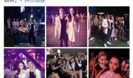 圈子名媛爆料事件视频在线观看,揭秘娱乐圈背后真相