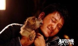 狼图腾完整版在线观看,草原霸主传奇，在线观看全揭秘