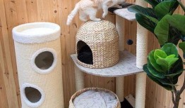 猫砂盆最新版本的新爆料,创新设计引领宠物生活新潮流