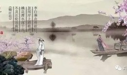 汪伦最新爆料视频,娱乐圈背后惊人真相