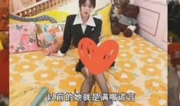 女网红新爆料视频大全集,揭秘娱乐圈幕后真相