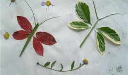 网友爆料树叶贴画视频,创意无限的自然艺术之旅