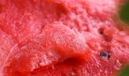 杭州吃瓜网红,杭州网红吃瓜达人带你探秘当地美食圈